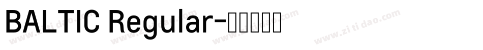 BALTIC Regular字体转换